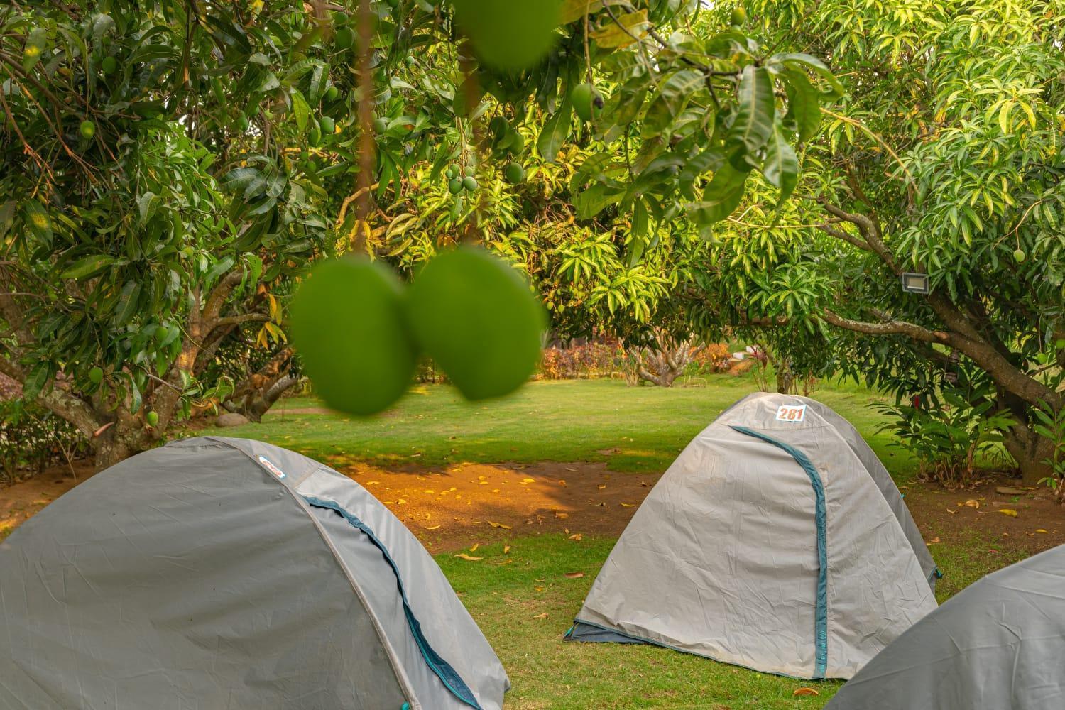 Q Mango Resort Rāmanagaram المظهر الخارجي الصورة